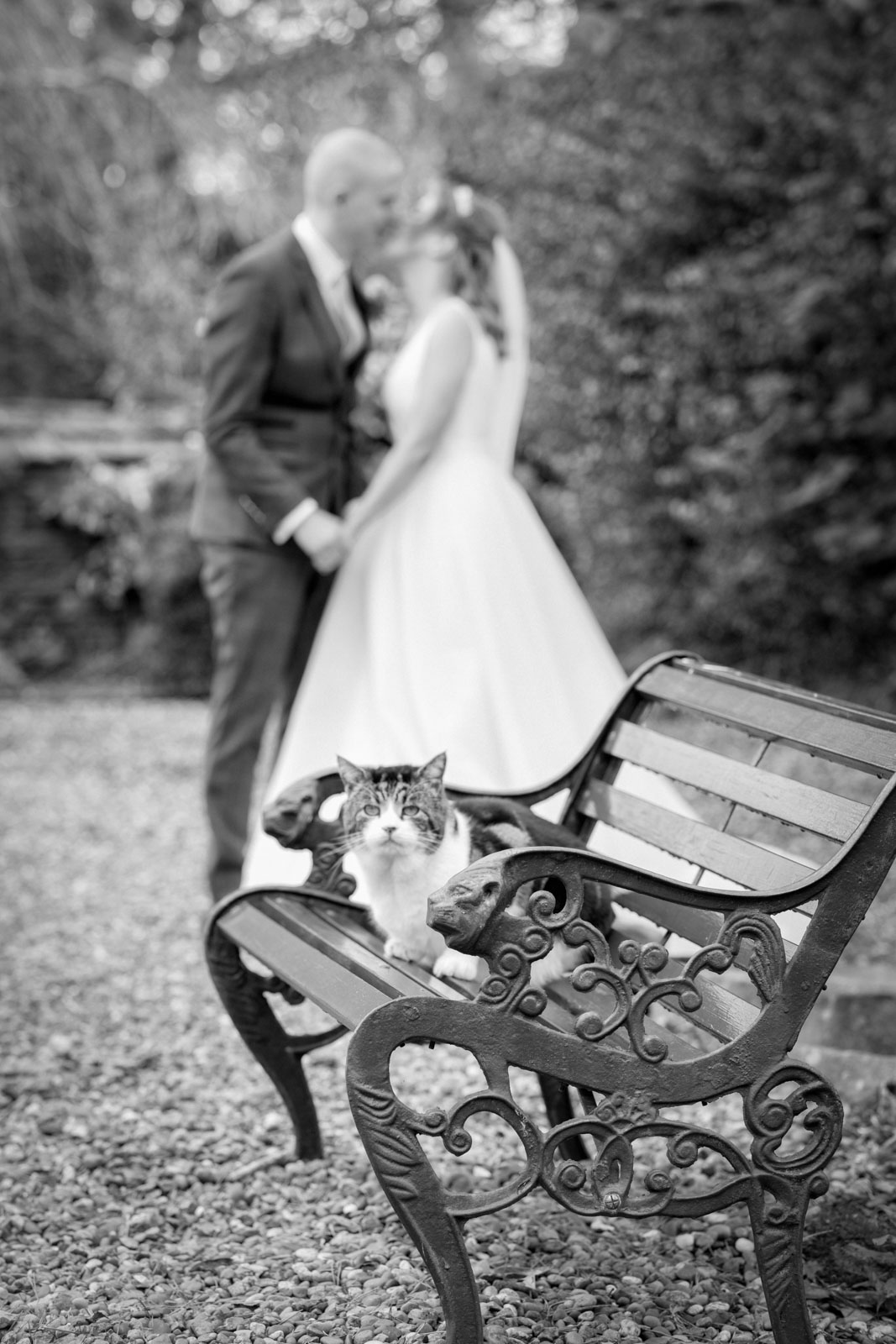 Nick Calini Photography and Videography-Awarded Photographer-Your Wedding Photographer-Photographer near me- Videographer Bradford-Wedding videographer (58 of 94)